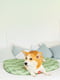 Чехол для лежанки Relax, рисунок "Зеленые листья", размер L, 100х70 см | 6389168 | фото 3