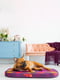 Чехол для лежанки Relax, рисунок "Гранат", размер M, 80х55 см | 6389182 | фото 2