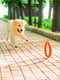 Кольцо для апортировки PitchDog для собак, Ø17 см Оранжевый | 6389195 | фото 4