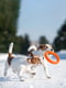 Кольцо для апортировки PitchDog для собак, Ø17 см Оранжевый | 6389195 | фото 5