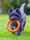 Кольцо для апортировки PitchDog для собак, Ø17 см Оранжевый | 6389195 | фото 8