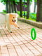 Кільце для апортування PitchDog для собак, Ø17 см Зелений | 6389196 | фото 4