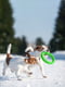 Кольцо для апортировки PitchDog для собак, Ø17 см Зеленый | 6389196 | фото 5