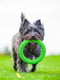Кільце для апортування PitchDog для собак, Ø17 см Зелений | 6389196 | фото 7