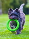 Кольцо для апортировки PitchDog для собак, Ø17 см Зеленый | 6389196 | фото 8
