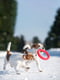 Кільце для апортування PitchDog для собак, Ø17 см Рожевий | 6389197 | фото 5