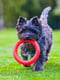 Кольцо для апортировки PitchDog для собак, Ø17 см Розовый | 6389197 | фото 8