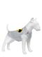 Майка для собак, рисунок "Бэтмен лого", размер S35 | 6389523 | фото 2