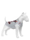 Майка для собак, малюнок "Харлі Квін", розмір M45 | 6389553 | фото 2