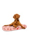 Лежанка для собак, малюнок "Креветка", зі змінним чохлом, розмір S, 55х40 см | 6389690 | фото 3