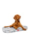 Лежанка для собак, рисунок "Скандинавия", со сменным чехлом, размер S, 55х40 см | 6389693 | фото 3