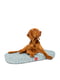 Лежанка для собак, малюнок "Я люблю свого собаку", зі змінним чохлом, розмір S, 55х40 см | 6389702 | фото 3