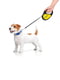 Повідець-рулетка для собак R-leash, малюнок "Сміливість", розмір XS, до 12 кг, 3 м | 6389858 | фото 5