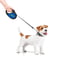 Повідець-рулетка для собак R-leash, малюнок "Сміливість", розмір S, до 15 кг, 5 м | 6389859 | фото 4