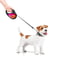 Повідець-рулетка для собак R-leash, малюнок "Конотопські магічні війська", розмір M, до 25 кг, 5 м | 6389876 | фото 4