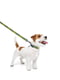 Повідець для собак нейлоновий Nylon, малюнок "Сміливість" 122 см 15 мм | 6389963 | фото 2