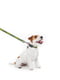 Поводок для собак нейлоновый Nylon, рисунок "Смелость" 122 см 15 мм | 6389963 | фото 3