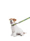 Поводок для собак нейлоновый Nylon, рисунок "Смелость" 122 см 15 мм | 6389963 | фото 4