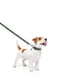 Повідець для собак нейлоновий Nylon, малюнок "Калина" 122 см 15 мм | 6389966 | фото 2