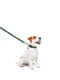 Повідець для собак нейлоновий Nylon, малюнок "Калина" 122 см 25 мм | 6389968 | фото 3