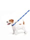 Повідець для собак нейлоновий Nylon, малюнок "Прапор" 122 см 15 мм | 6389969 | фото 3