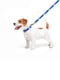 Повідець для собак нейлоновий Nylon, малюнок "Прапор" 122 см 20 мм | 6389970 | фото 3
