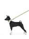 Поводок для собак нейлоновый Nylon, рисунок "Рик и Морти 1" 122 см 20 мм | 6390247 | фото 3