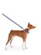 Поводок для собак нейлоновый Nylon, рисунок "Рик и Морти 2" 122 см 15 мм | 6390249 | фото 2