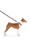 Поводок для собак нейлоновый Nylon, рисунок "Рик и Морти 3" 122 см 25 мм | 6390254 | фото 2