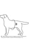 Нейлонова шлейка для собак DogExtremе Police N1 зі змінним написом 35-45 см Червона | 6390327 | фото 5
