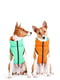 Курточка для собак Lumi двостороння салатово-помаранчева, що світиться XS25 | 6390700 | фото 5