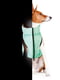 Курточка для собак Lumi двостороння, що світиться салатово-блакитна S30 | 6390712 | фото 6