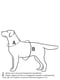 Брезентовий шлей х/б тасьма для великих собак N2 35 мм | 6390729 | фото 2