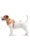 Шлея для собак ONE Оранжевая, размер XS1 | 6390749 | фото 4