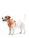 Шлея для собак ONE Оранжевая, размер XS1 | 6390749 | фото 5