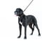 Нашийник EVOLUTOR для собак середніх та великих порід 25-70 см Чорний | 6390820 | фото 4
