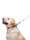 Кожаный ошейник для собак с рисунком "NASA", металлическая пряжка Черный 18-24 см 12 мм | 6390858 | фото 4