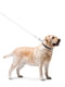 Кожаный ошейник для собак с рисунком "NASA", металлическая пряжка Черный 18-24 см 12 мм | 6390858 | фото 5