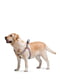 Шлея для собак с QR паспортом, 40-55 см 15 мм | 6390951 | фото 2