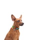 Ошейник для собак с QR паспортом, 25-35 см 15 мм | 6390984 | фото 2