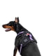 Шлея для собак с QR паспортом, металлическая пряжка-фастекс, размер S, фиолетовая | 6391321 | фото 2