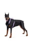 Шлея для собак с QR паспортом, металлическая пряжка-фастекс, размер S, фиолетовая | 6391321 | фото 3