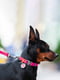 Нашийник для собак Waterproof з QR паспортом, водостійкий, 25-35 см 15 мм Рожевий | 6391402 | фото 2