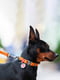 Ошейник для собак Waterproof с QR паспортом, водостойкий, 28-40 см 20 мм Оранжевый | 6391407 | фото 2
