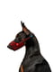 Нейлоновый намордник для собак регулируемый, рисунок "Шотландка красная", размер №1, обхват морды 14-20 см | 6391504 | фото 2