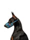Нейлоновий намордник для собак регульований, малюнок "ВАУ", розмір №1, обхват морди 14-20 см | 6391508 | фото 2