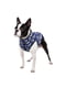 Курточка для собак с рисунком "Бэтмен бело-голубой", размер S30 | 6391575 | фото 2