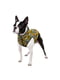 Курточка для собак с рисунком "Бэтмен винтаж", размер XS22 | 6391608 | фото 2