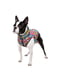 Курточка для собак с рисунком "Чудо-женщина комикс", размер S30 | 6391671 | фото 2