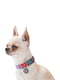 Нашийник для собак Re-cotton з QR паспортом, 25-35 см 15 мм Фіолетовий | 6391699 | фото 2